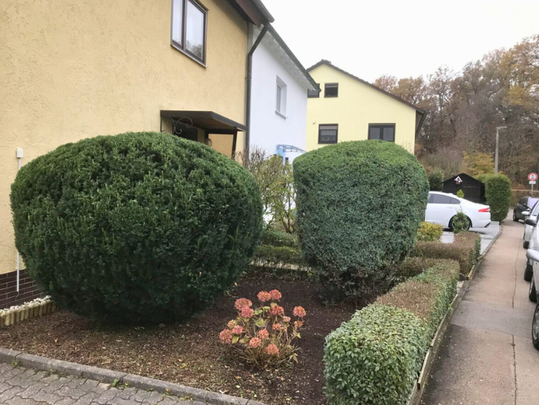 Pflege von Gärten in Ludwigsburg